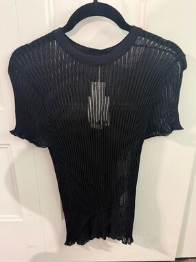 ZARA Sheer Ribbed Knit Top in Black